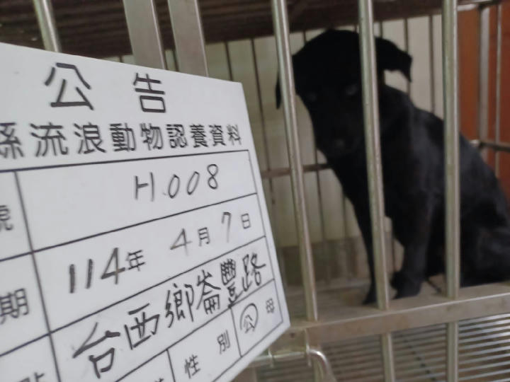 114-H008D 照片 1