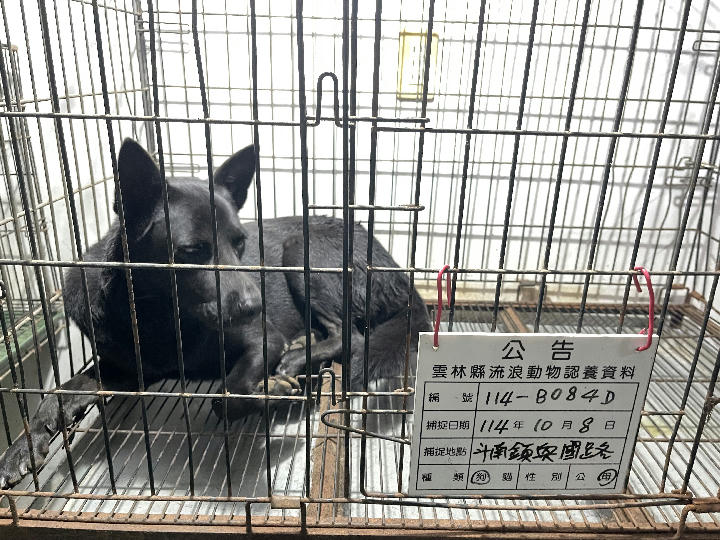 114-B084D 照片 1