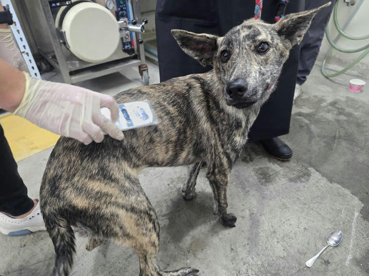 VAAAG114102601 照片 1