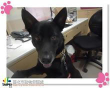 107022701 照片 1