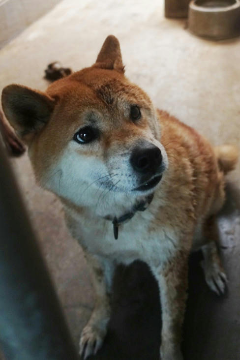 1142096 照片 1