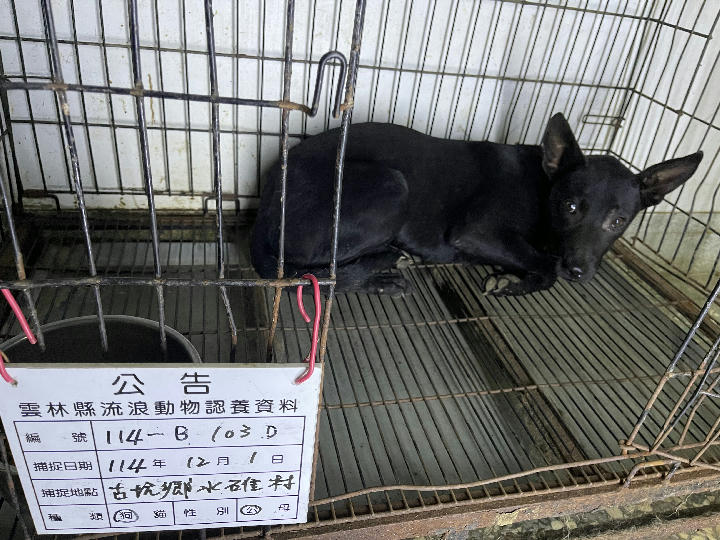 114-B103D 照片 1
