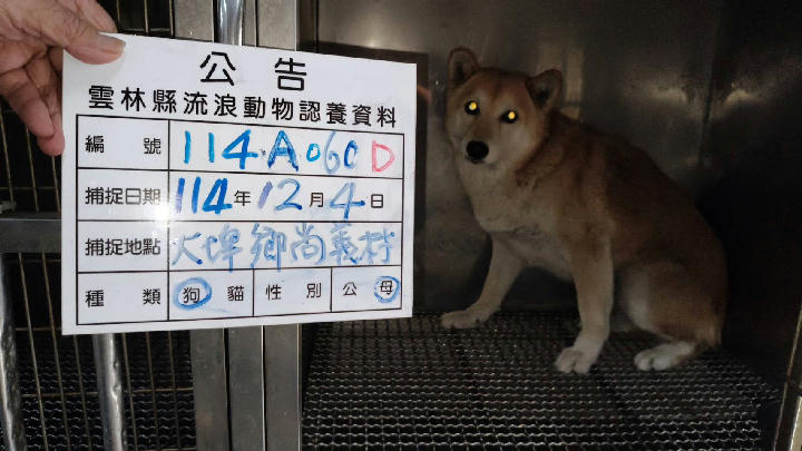 114-A060D 照片 1