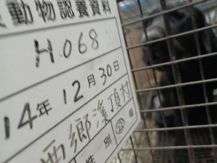 114-H068D 照片 1