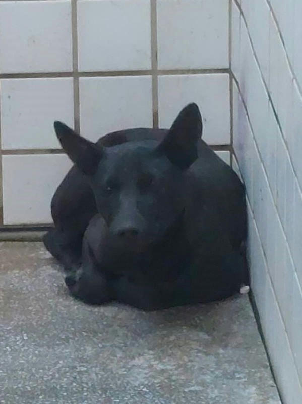 1150122 照片 1
