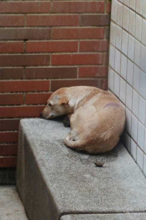 1150221 照片 1