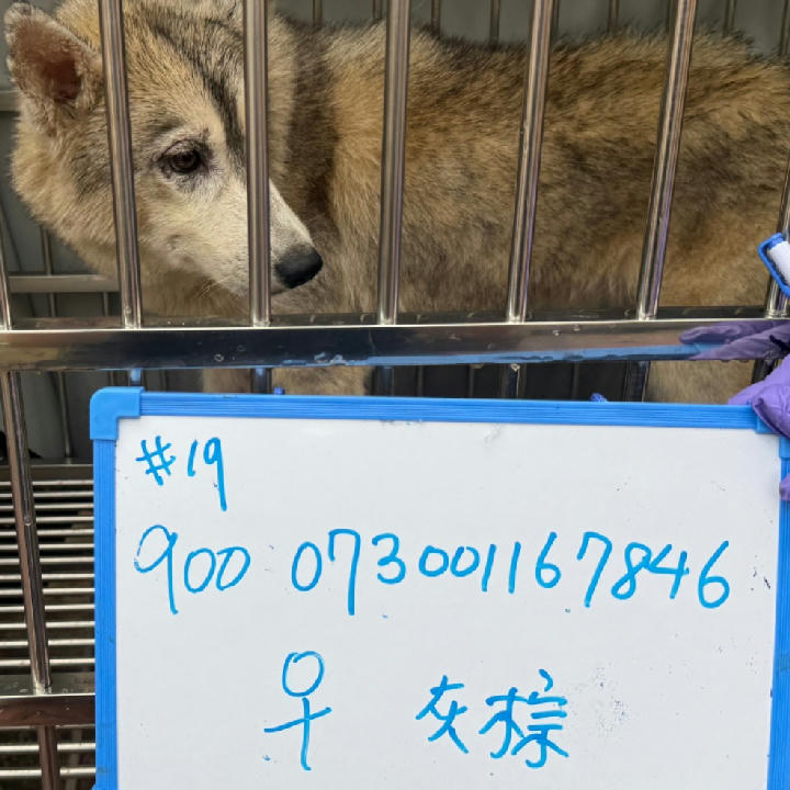 S150312-21 照片 1