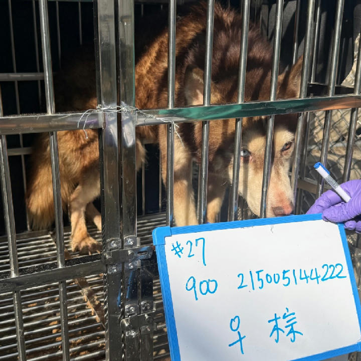 S150312-28 照片 1