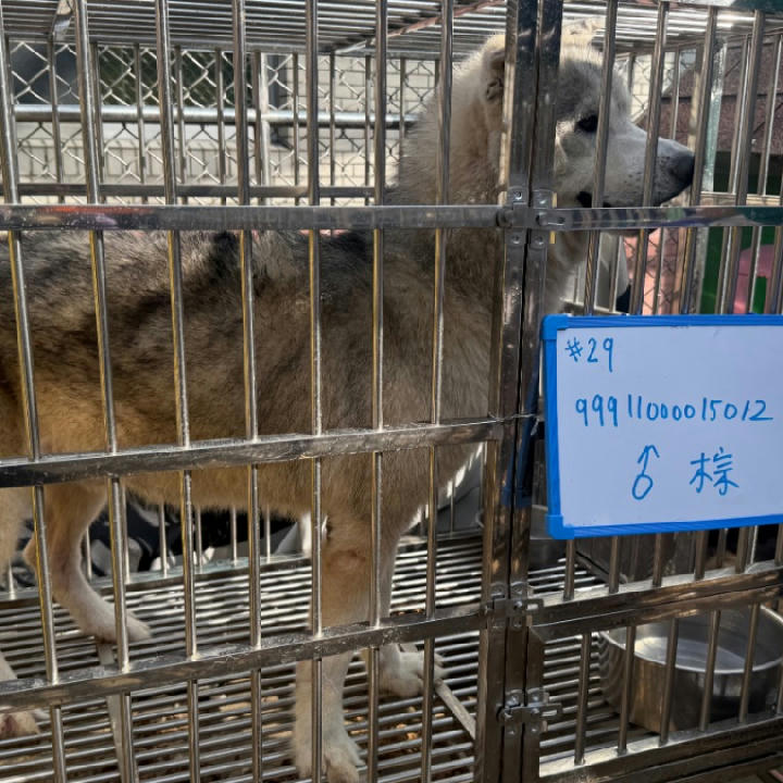 S150312-30 照片 1