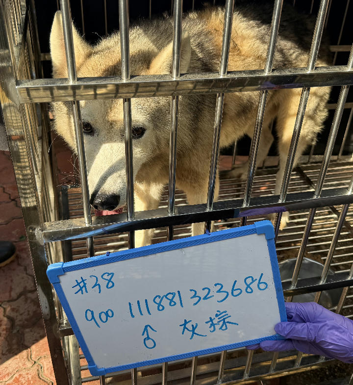 S150312-35 照片 1