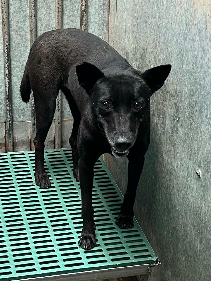 GAAAG1150409016 照片 1