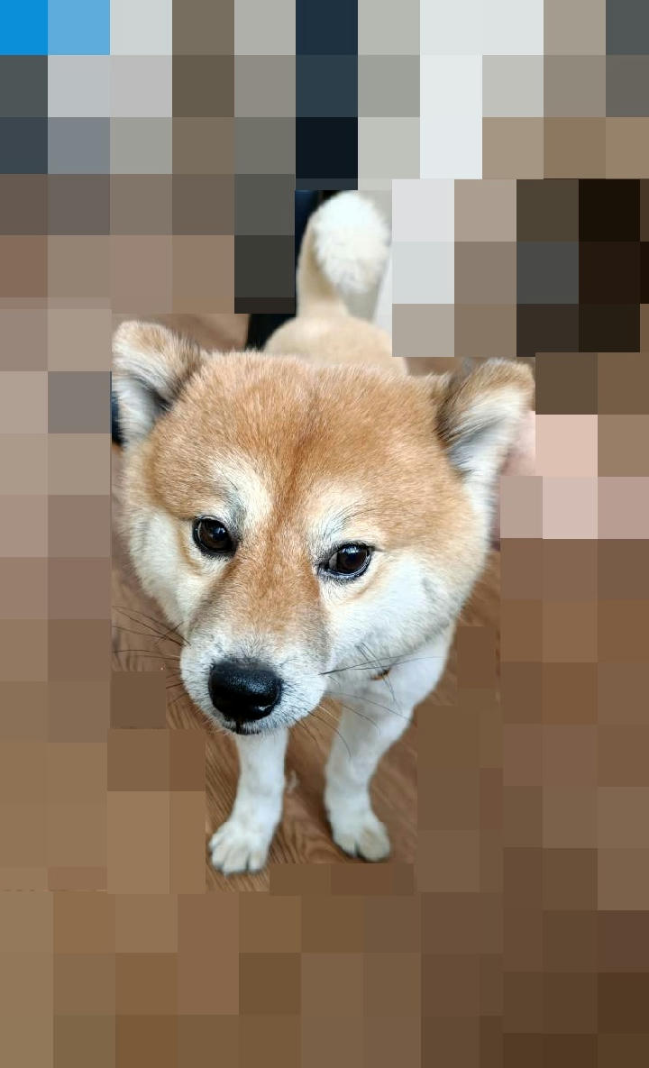 TAAAG1150421005 照片 1