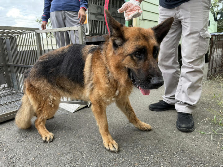 CAAAG1150605001 照片 1
