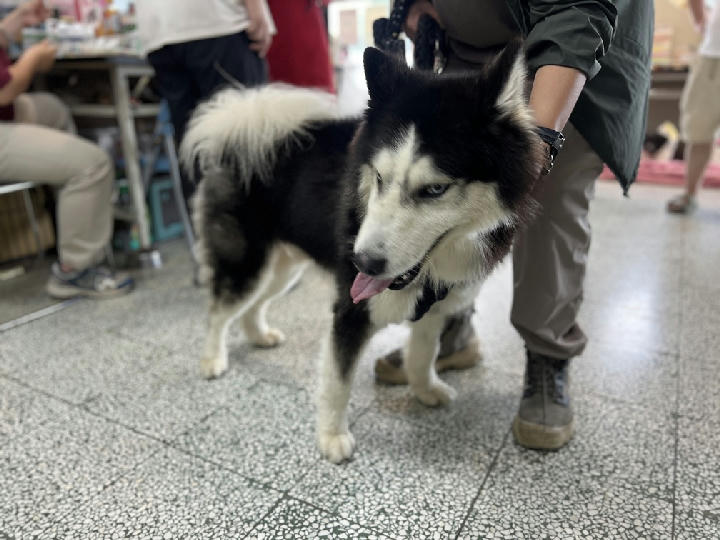 CAAAG1150606001 照片 1