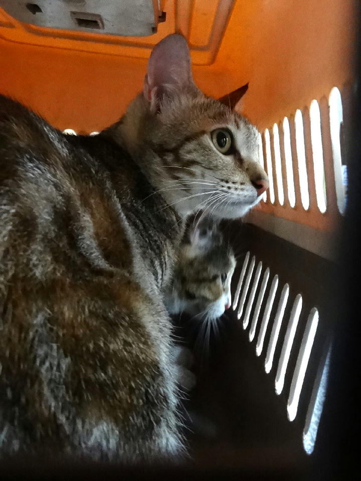 1150933 照片 1