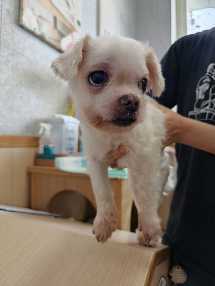 TAAAG1150627002 照片 1