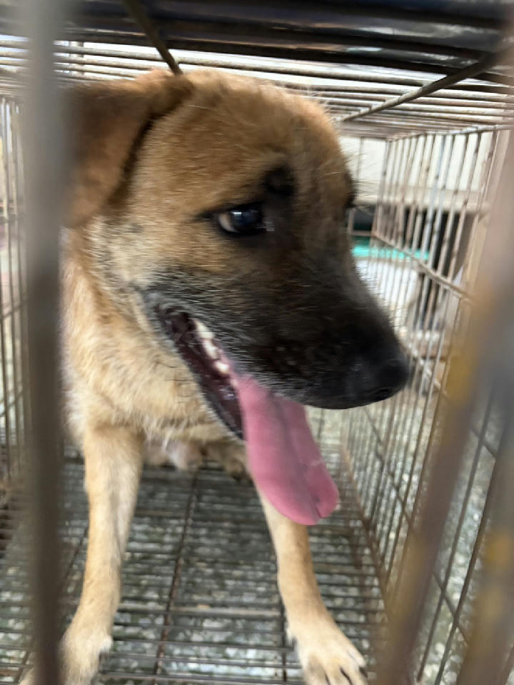S150702-08 照片 1