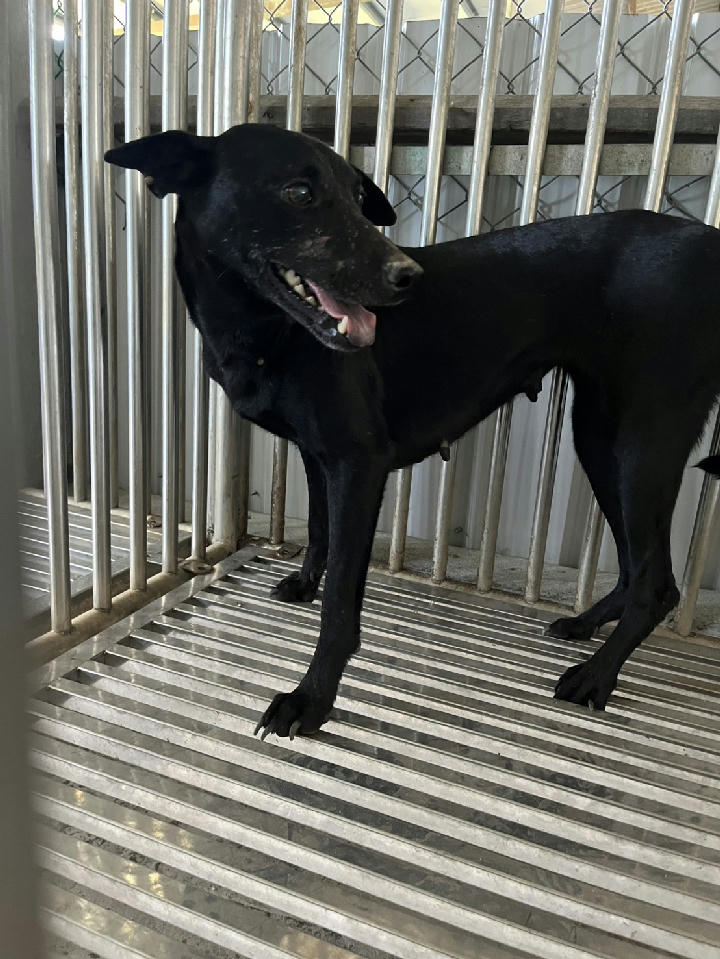 GAAAG1150706001 照片 1