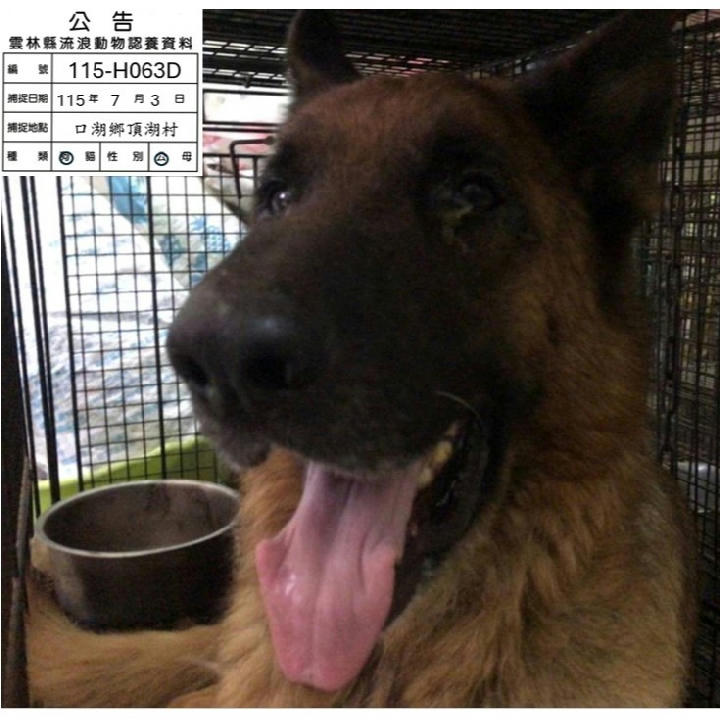 115-H063D 照片 1