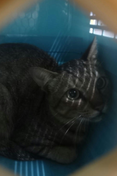 1151146 照片 1