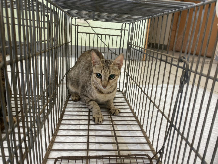 1150730C01 照片 1