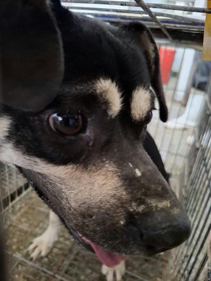S150804-01 照片 1