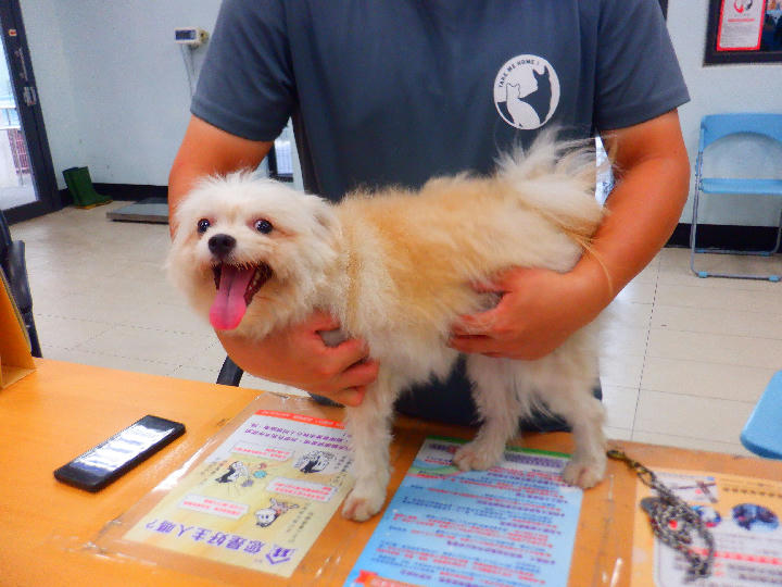 HAAAG1150810882 照片 1