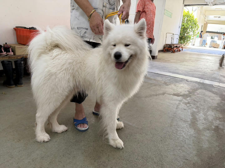 CAAAG1150821002 照片 1