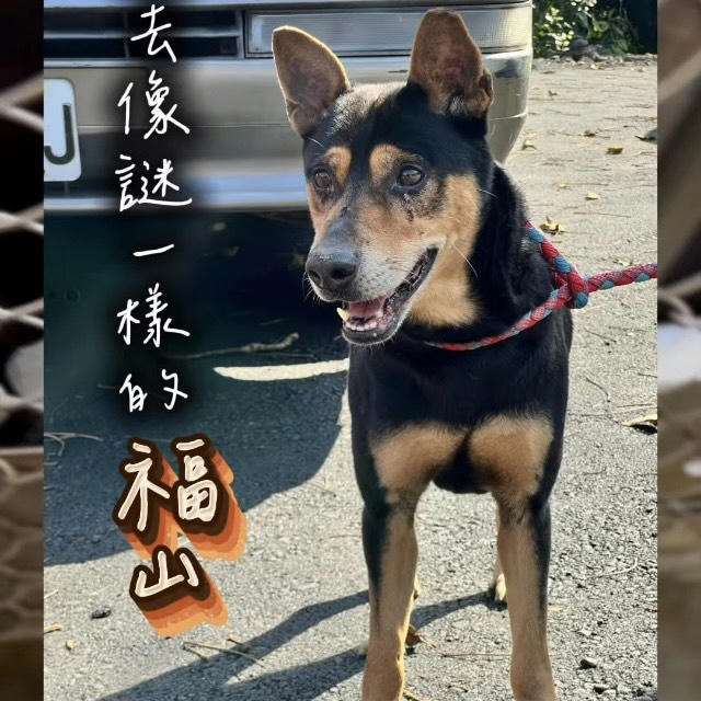 AAACG1150828001 照片 1